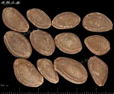 九游体育app-关于@0栝羴嵫鈦5炼??L?剾瑖櫇5]X男M涯魱袐?癐>8j炷XvHOq